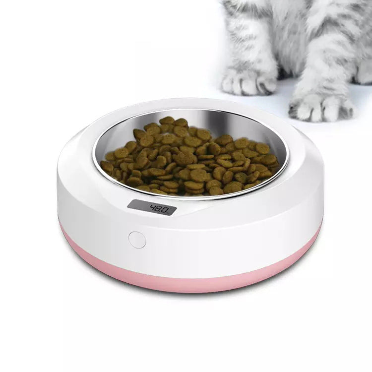 Blent10 Portable Automatic Pet Feeder – Convenient Feeding Dispenser