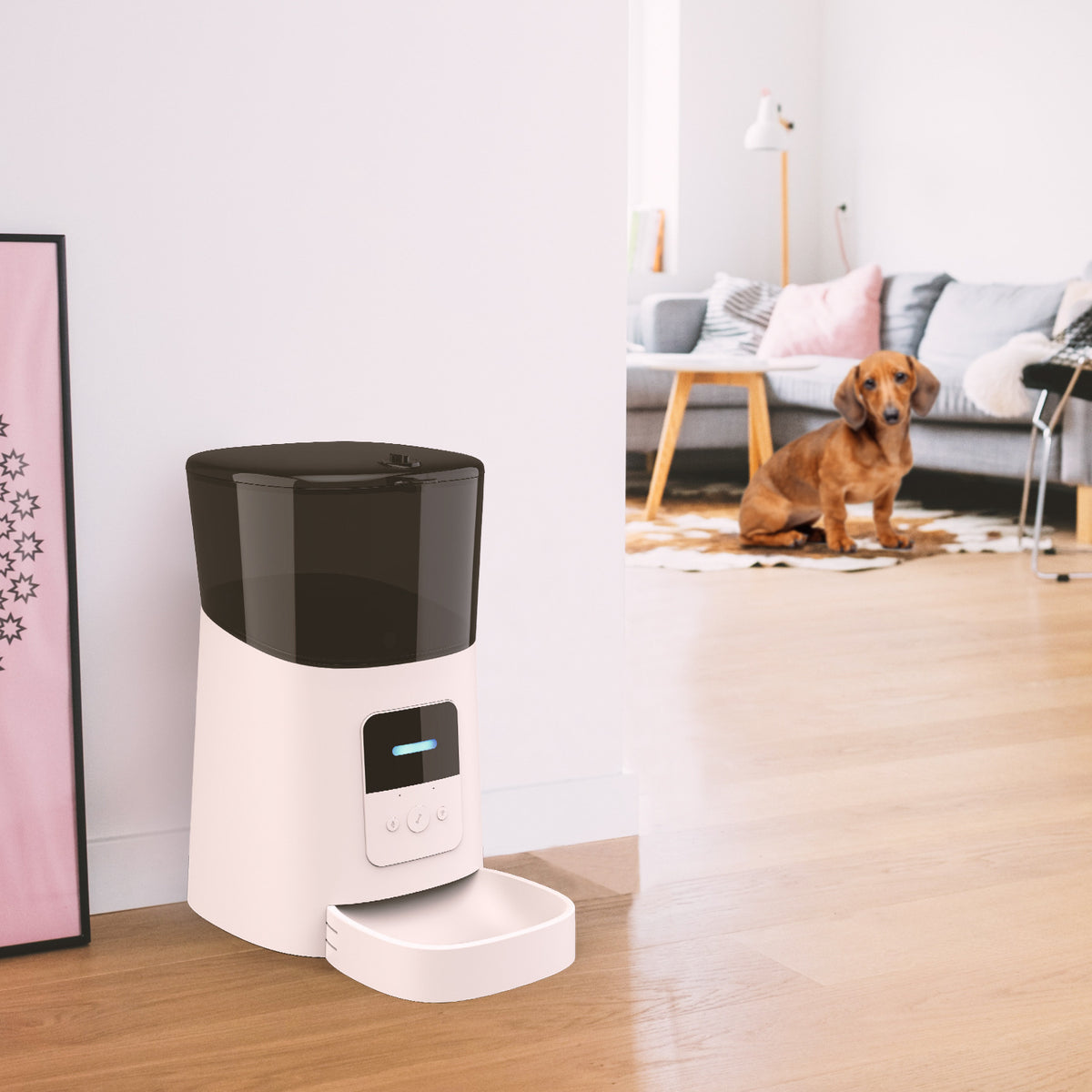 Blent10 automatic pet feeder for convenient cat and dog feeding routines