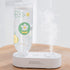 Shop the Blent10 Aquarius USB mini humidifier with a portable, bottle-inspired design for desks, bedrooms, and suitable indoor spaces.
