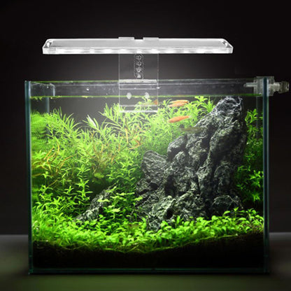 Blent10 LED fish tank light for decorative aquarium illumination