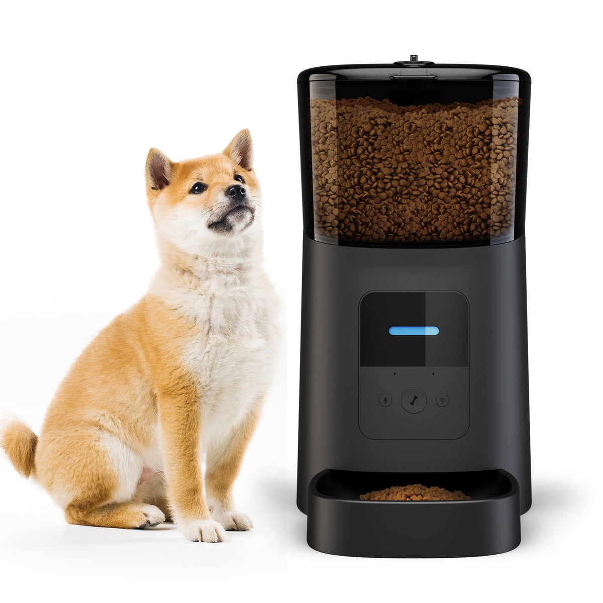 Blent10 automatic pet feeder for convenient cat and dog feeding routines