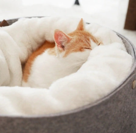 Blent10 pet bed for a dedicated pet resting and sleeping space