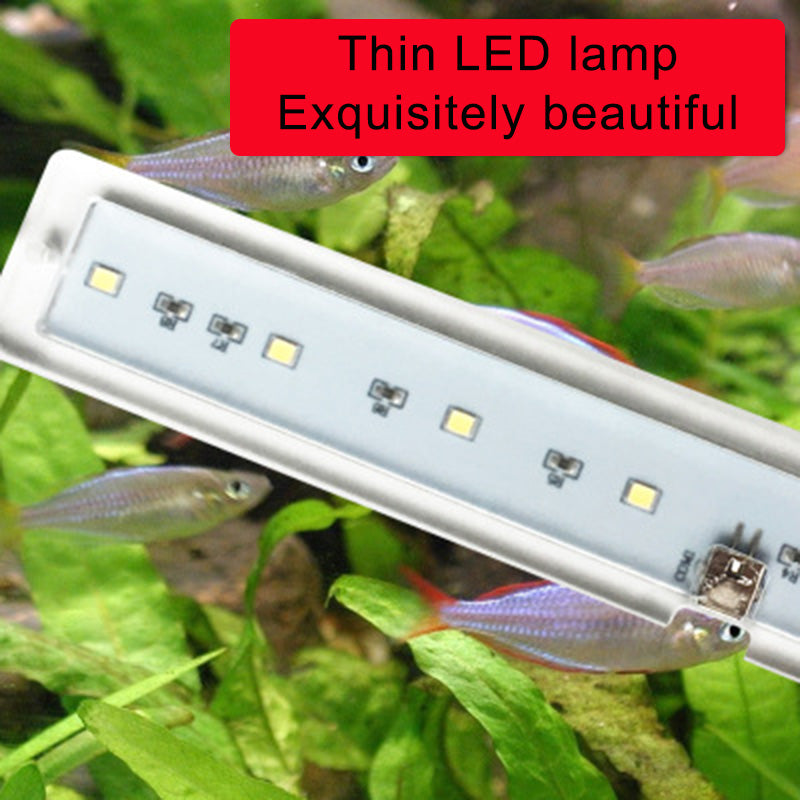 Blent10 LED fish tank light for decorative aquarium illumination