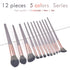 Blent10 12-piece makeup brush set with makeup bag available in four colour options