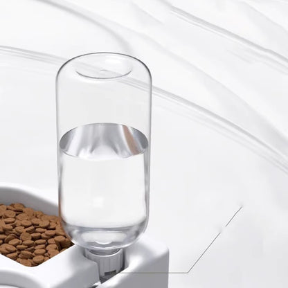 Blent10 cat water fountain for indoor pet drinking and everyday hydration